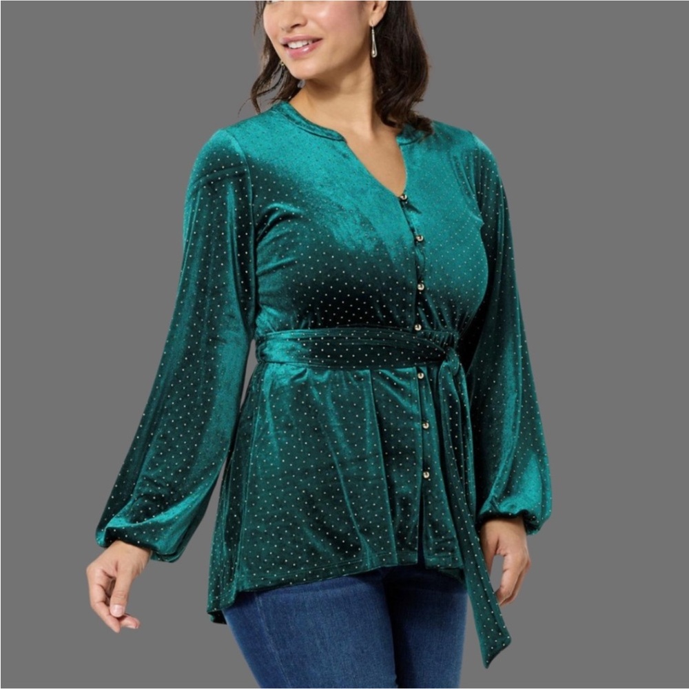🌟5/$15🌟 Colleen Lopez Velvet Tunic